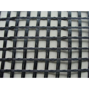 Geogrid de venda a quente (W-TGGS)